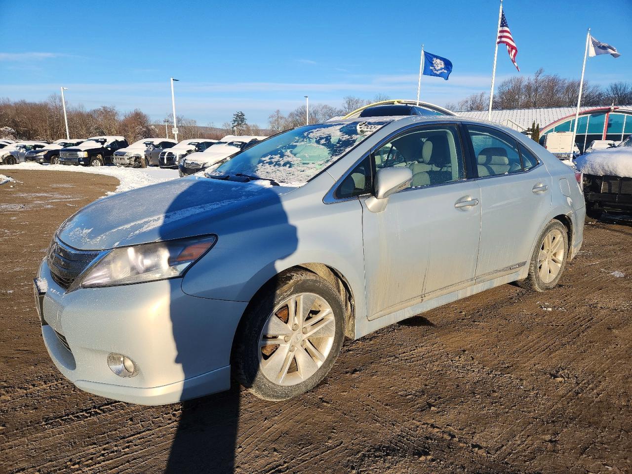 LEXUS HS 250H