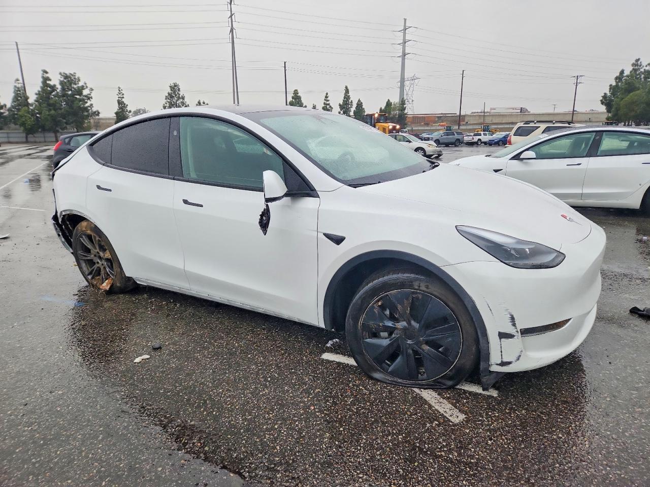 2024 TESLA MODEL Y — фото 4