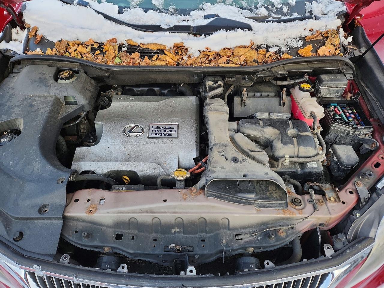 LEXUS RX 450H