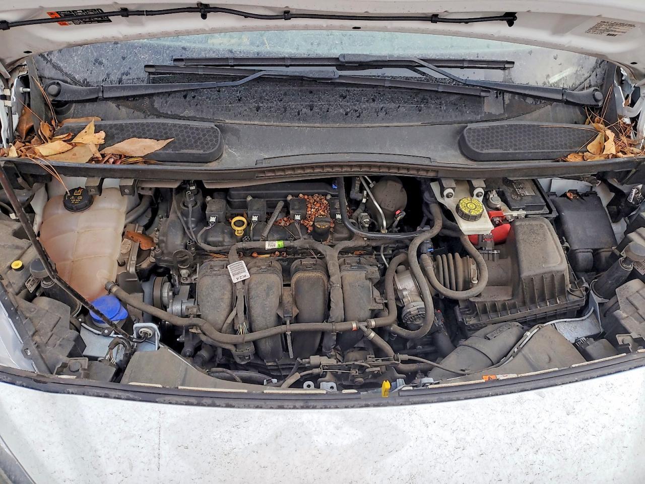FORD TRANSIT CONNECT