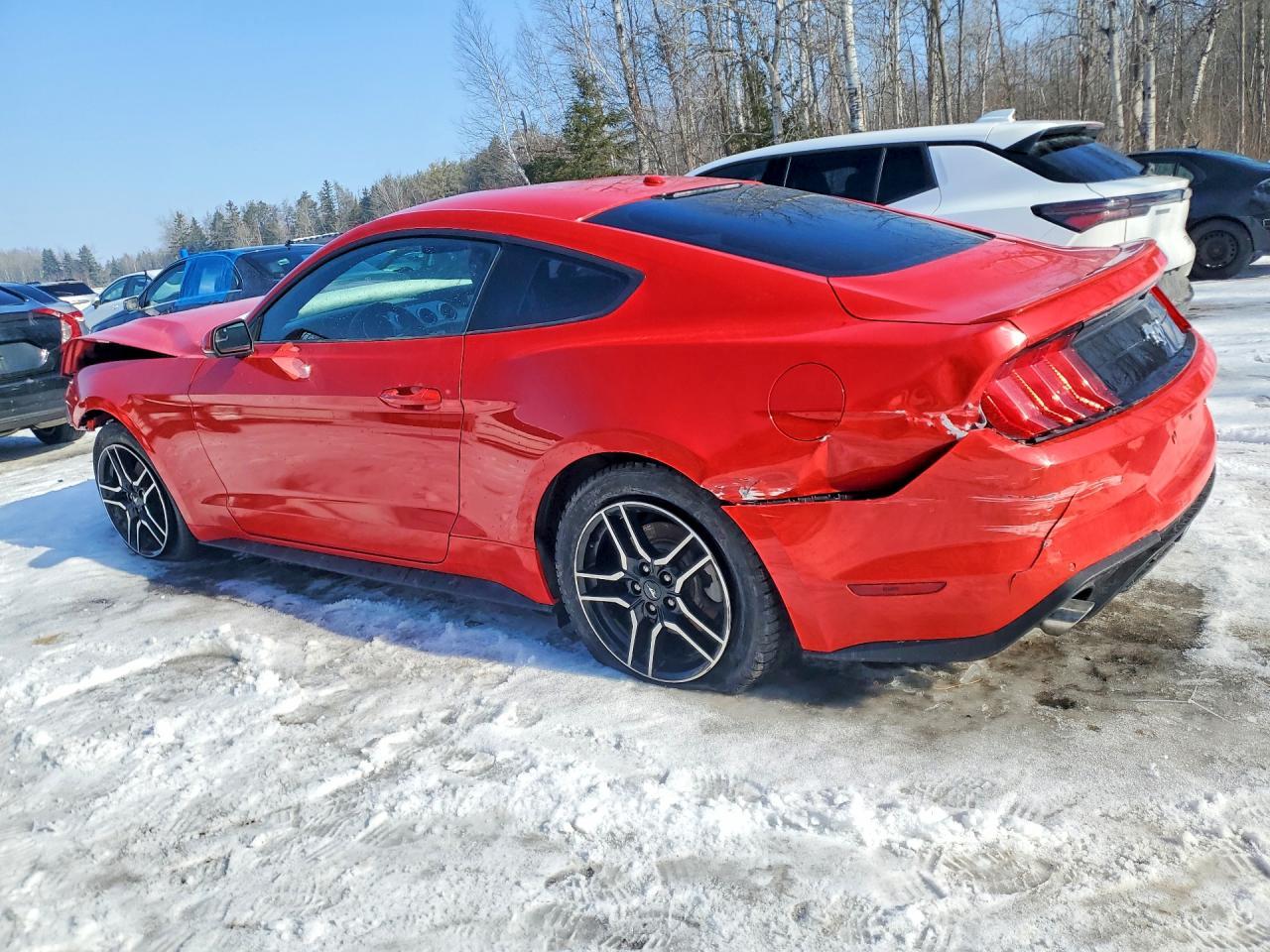 2019 FORD MUSTANG — фото 2