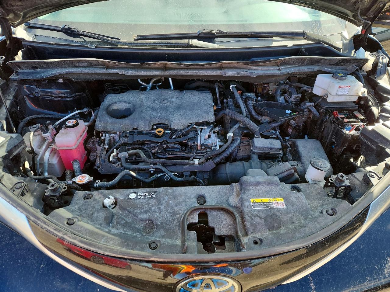 TOYOTA SIENNA