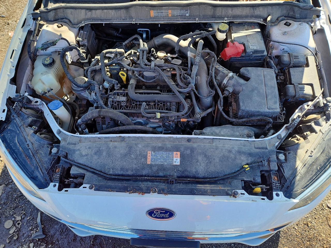 FORD FUSION