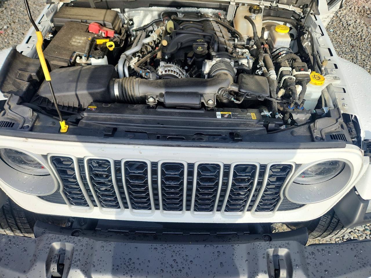 2024 JEEP WRANGLER — фото 12