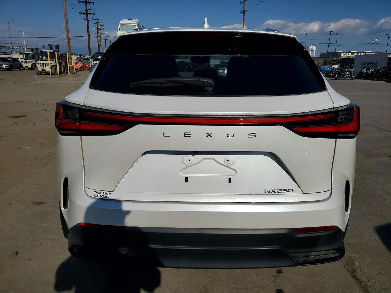 LEXUS NX 250