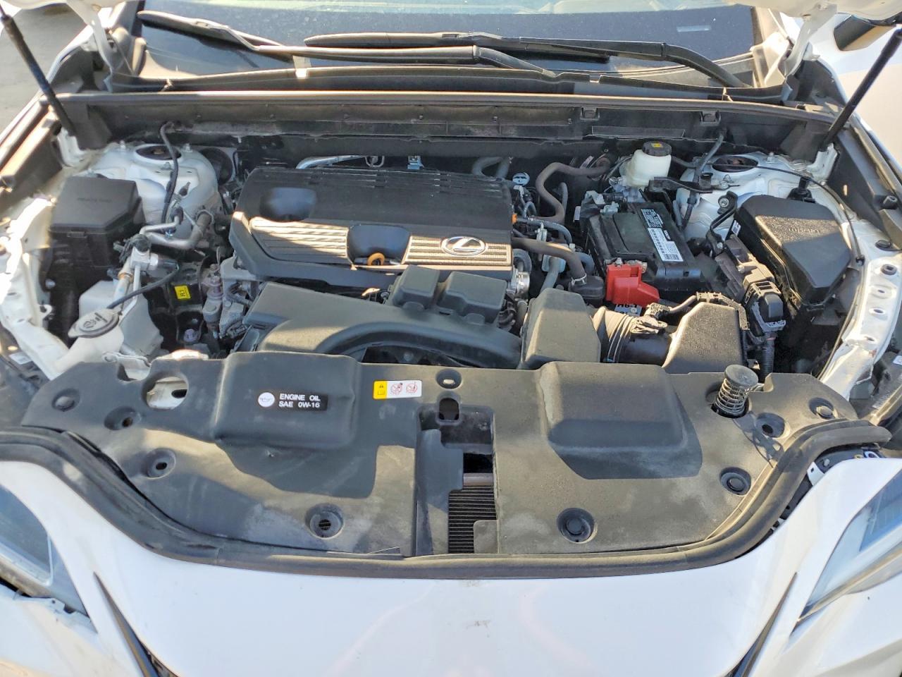 LEXUS NX 250