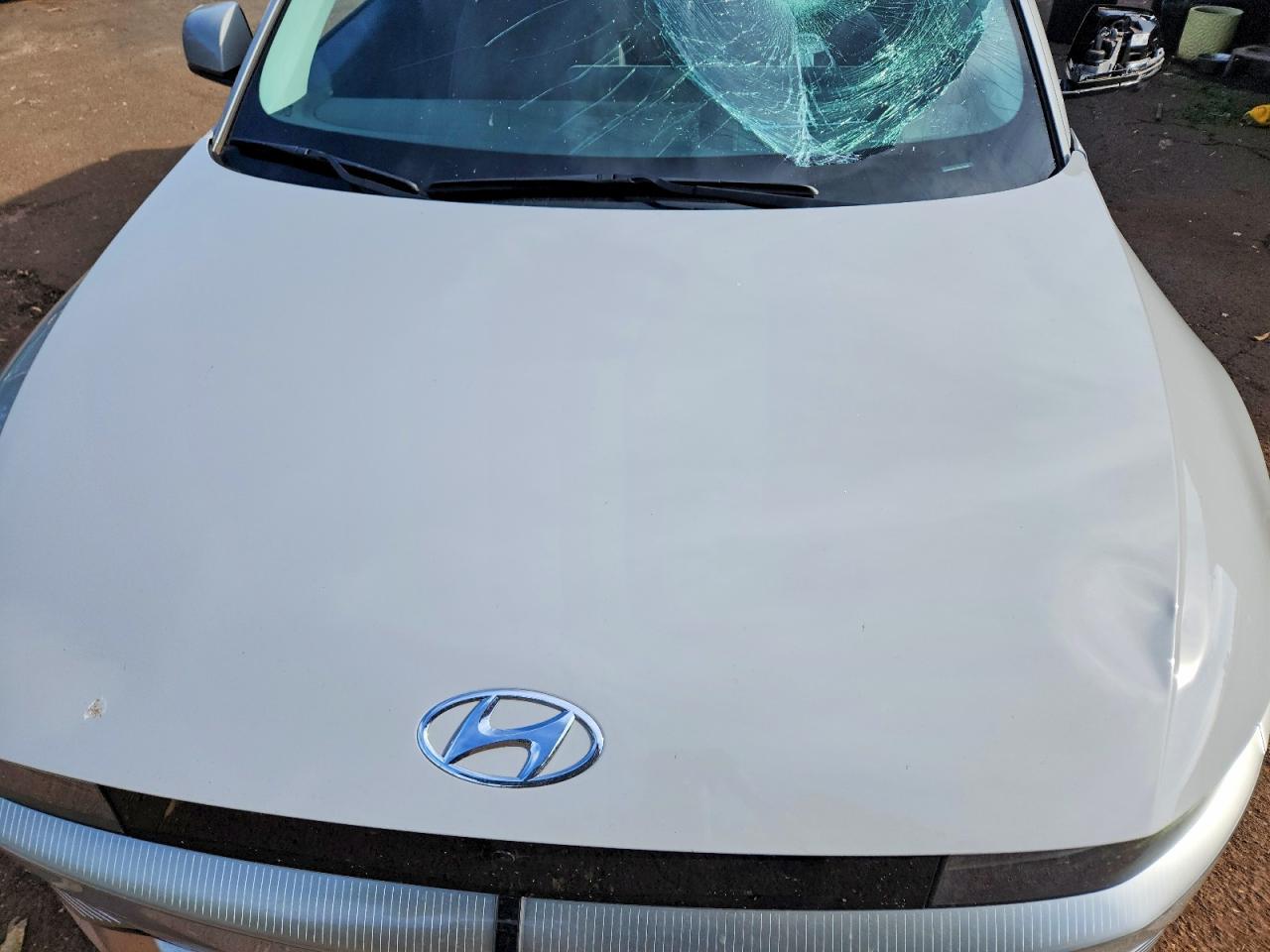 HYUNDAI IONIQ ELECTRIC