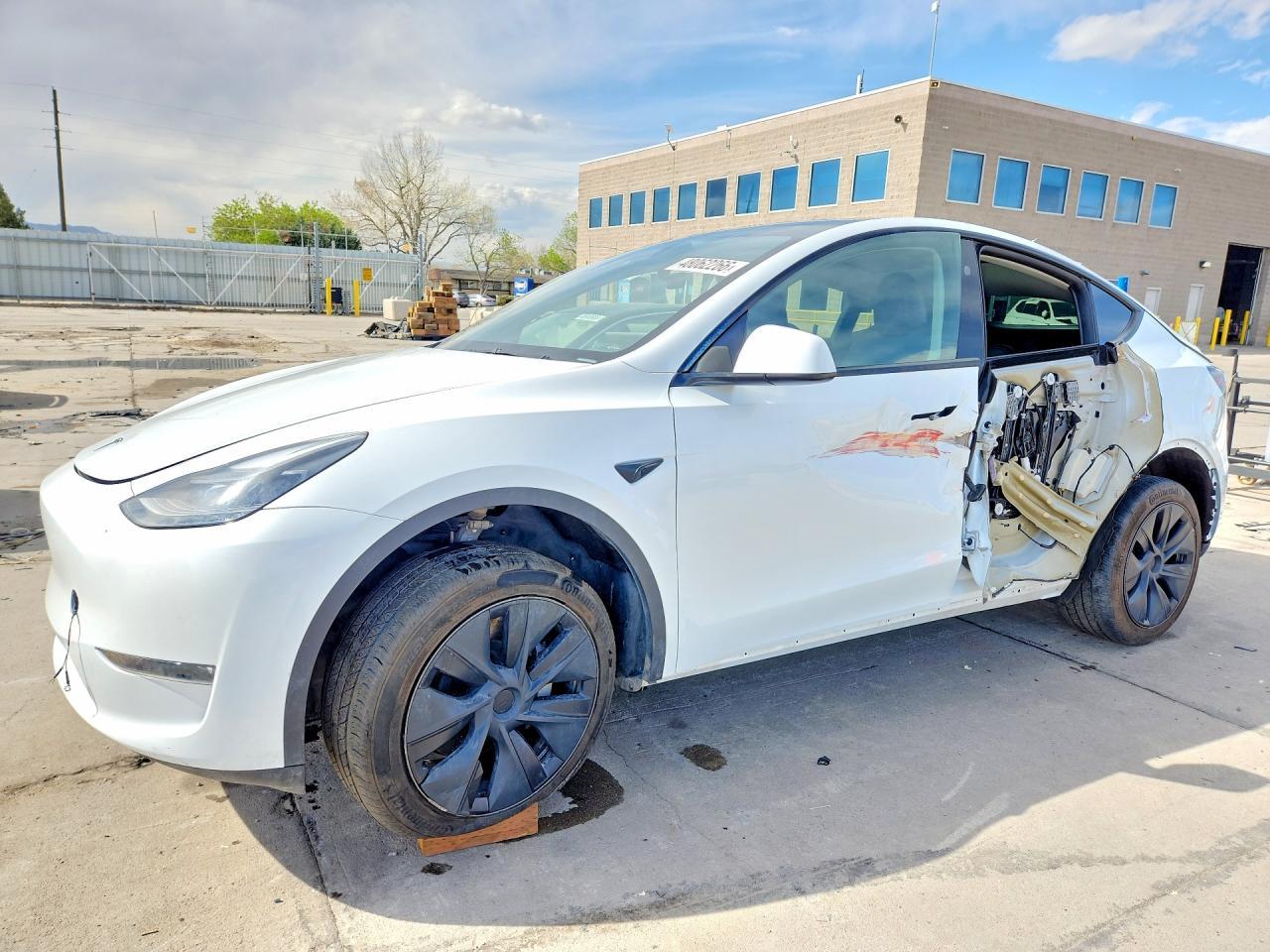 2024 TESLA MODEL Y — фото 1