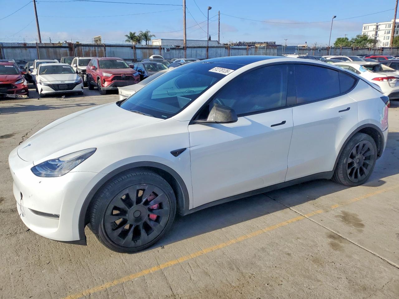 2023 TESLA MODEL Y — фото 1