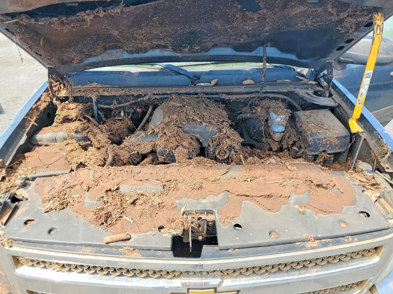 CHEVROLET SILVERADO