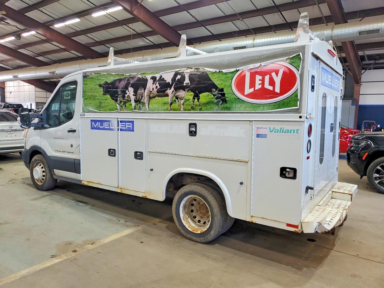 FORD TRANSIT