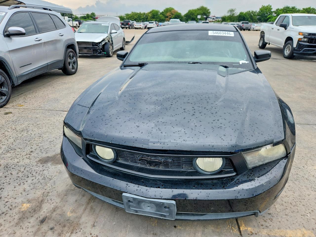 FORD MUSTANG