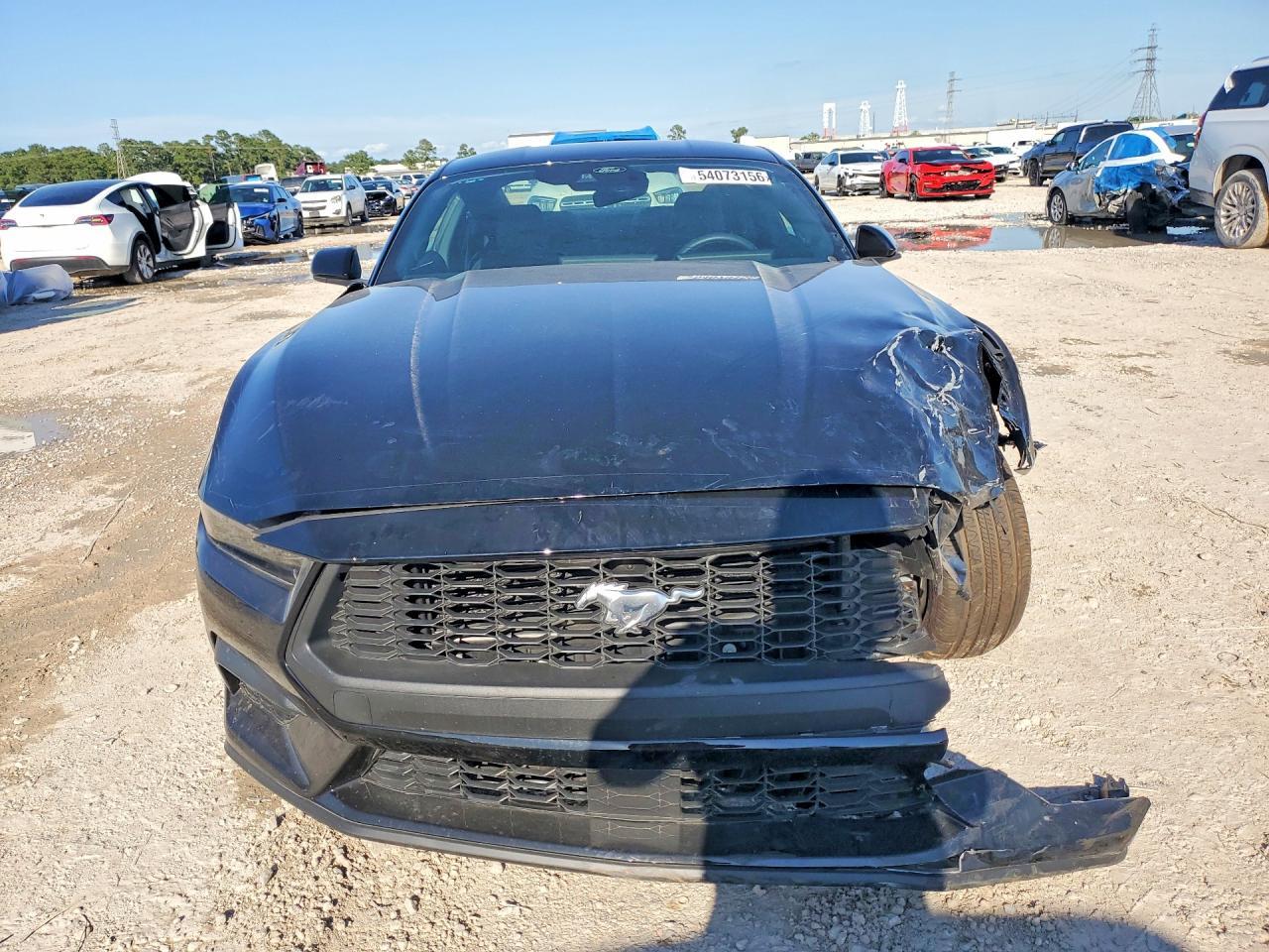 FORD MUSTANG