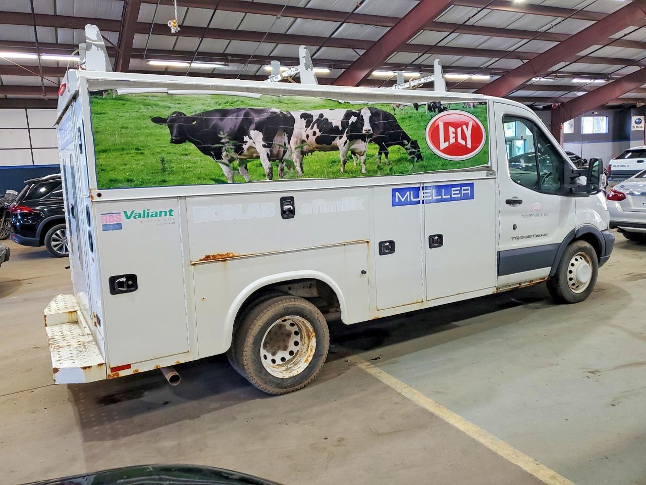 FORD TRANSIT