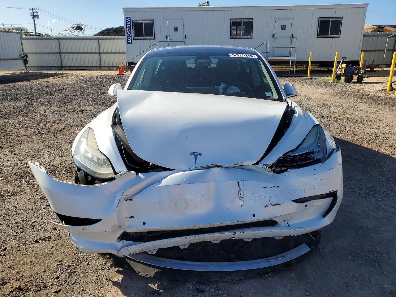 2019 TESLA MODEL 3 — фото 5