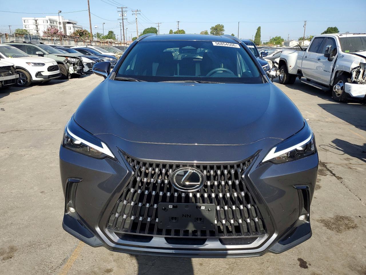 2024 LEXUS NX 250 — фото 5
