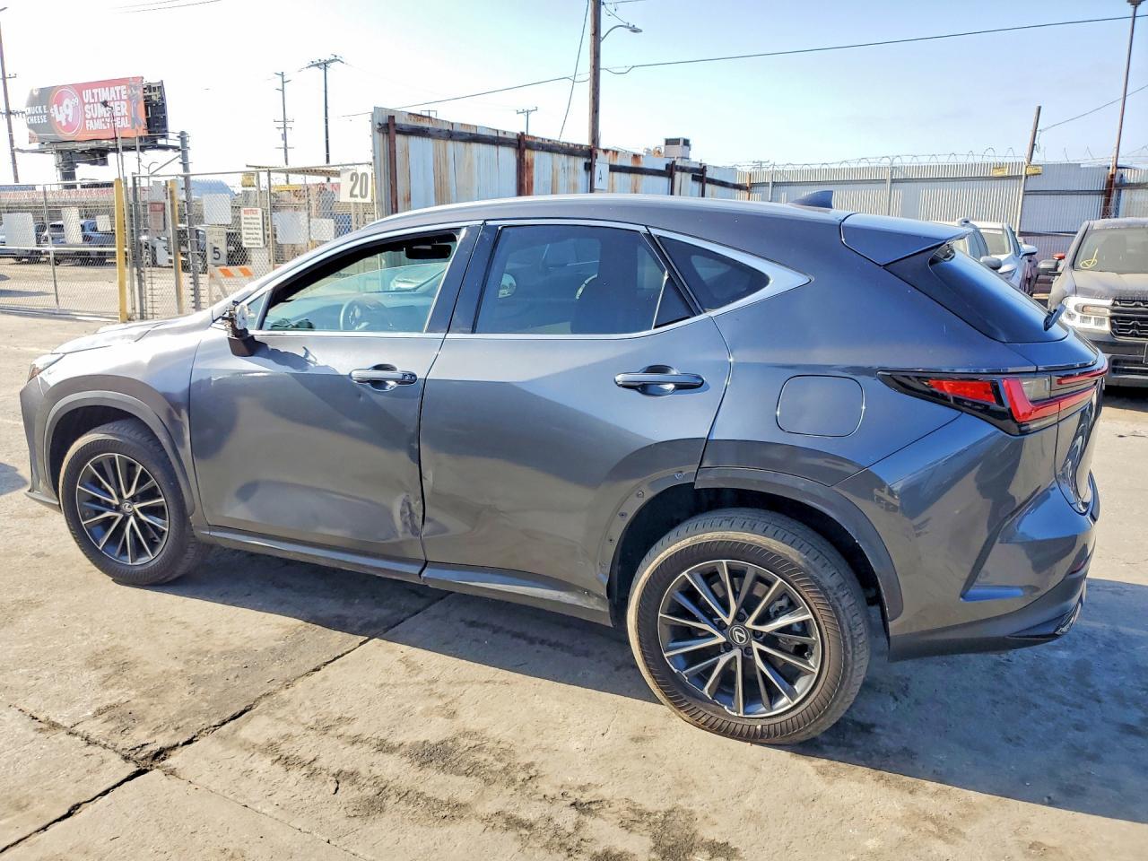 2024 LEXUS NX 250 — фото 2