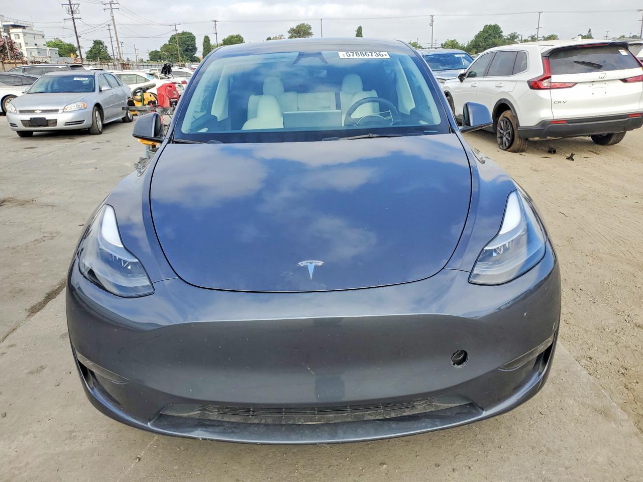 2023 TESLA MODEL Y — фото 5