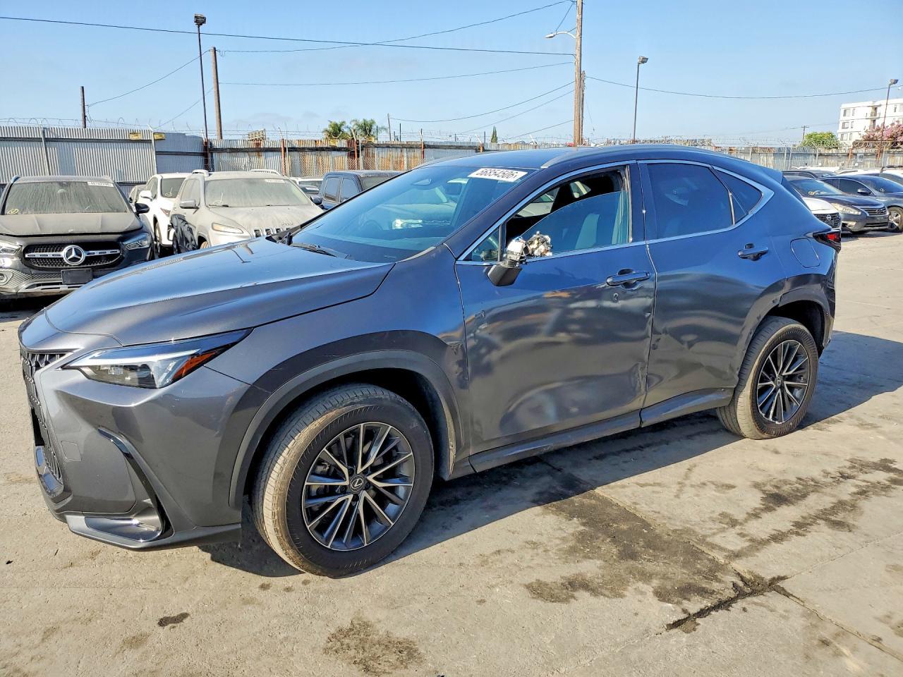 2024 LEXUS NX 250 — фото 1