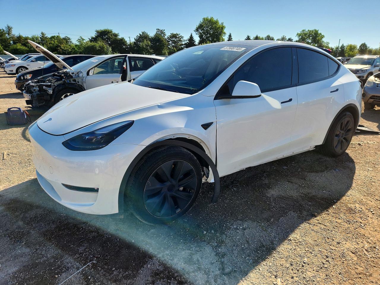 2024 TESLA MODEL Y — фото 1