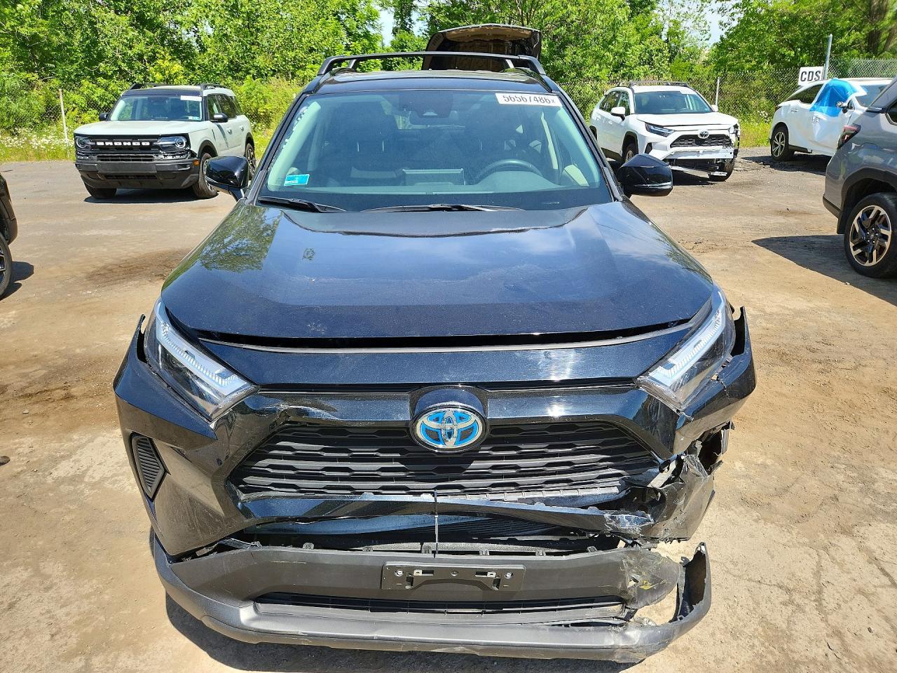2024 TOYOTA RAV4 HYBRID — фото 5