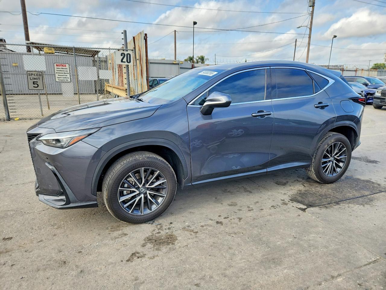 2024 LEXUS NX 350 — фото 1