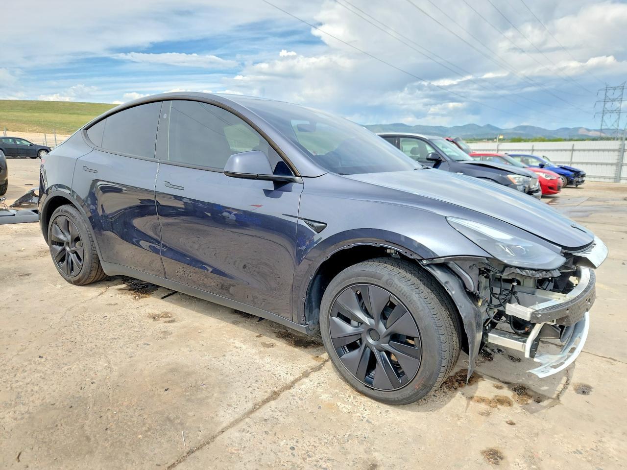 2025 TESLA MODEL Y — фото 4