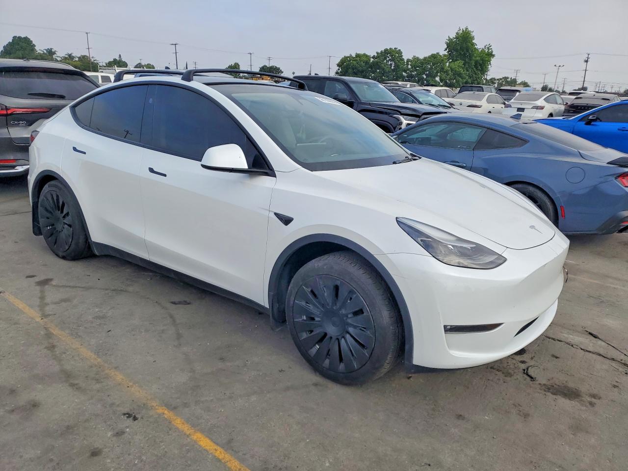2023 TESLA MODEL Y — фото 4