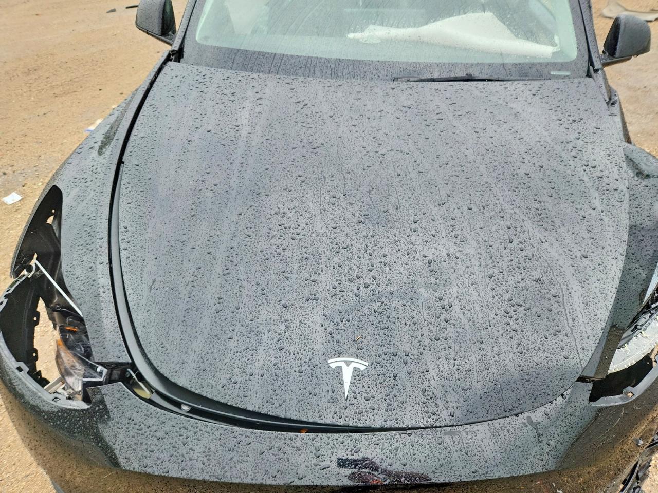 2025 TESLA MODEL Y — фото 11