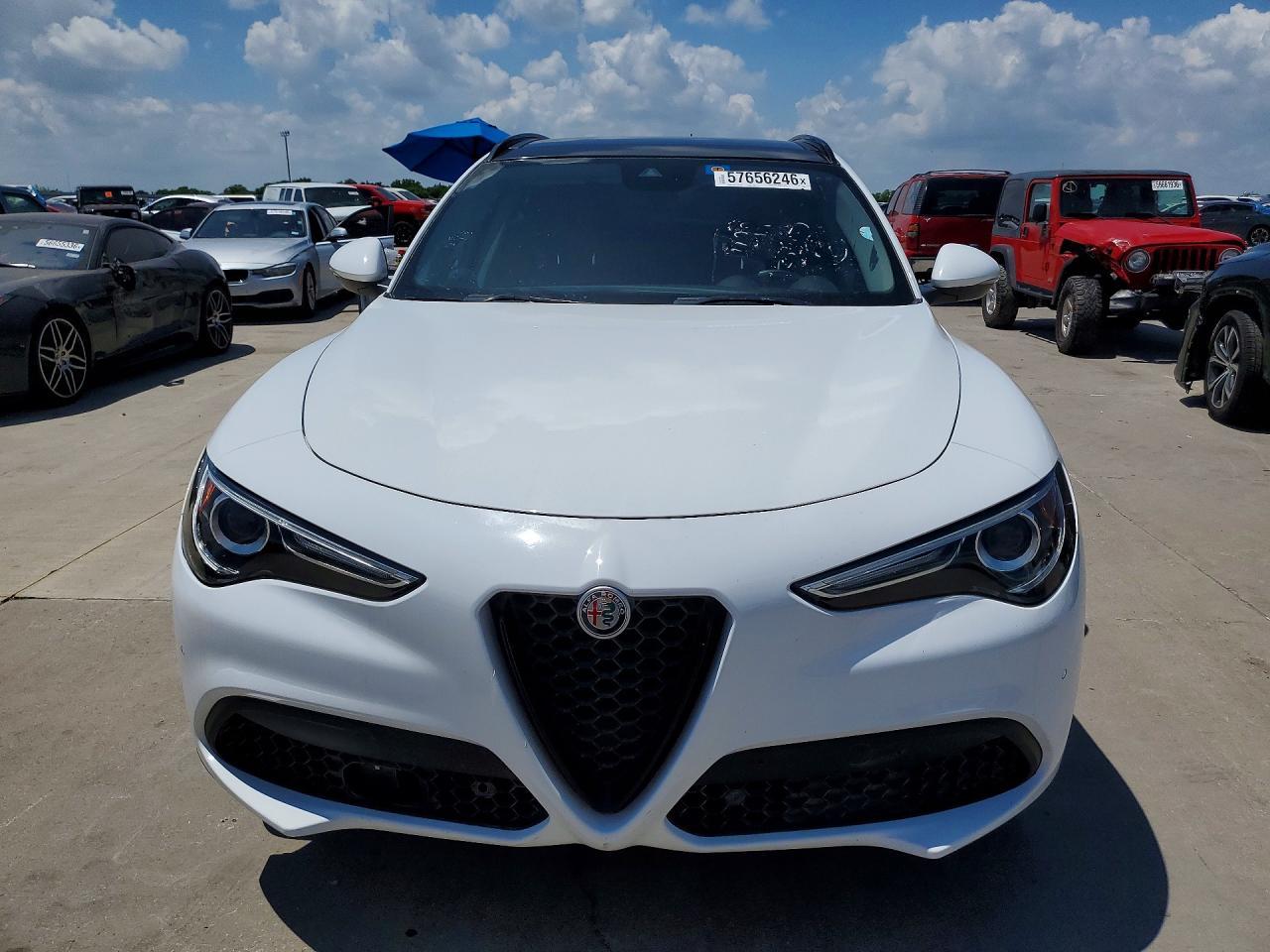 2019 ALFA ROMEO STELVIO — фото 5