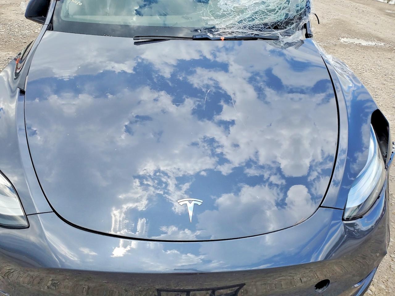 2021 TESLA MODEL Y — фото 11