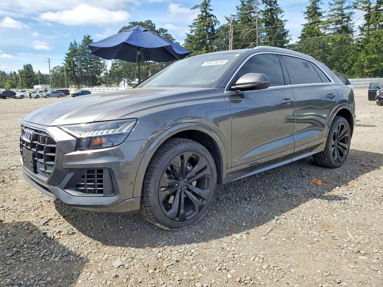 2019 AUDI Q8 — фото 1