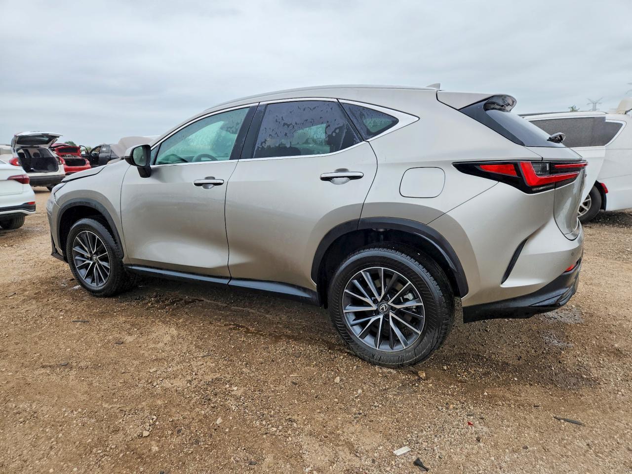 2025 LEXUS NX 350 — фото 2