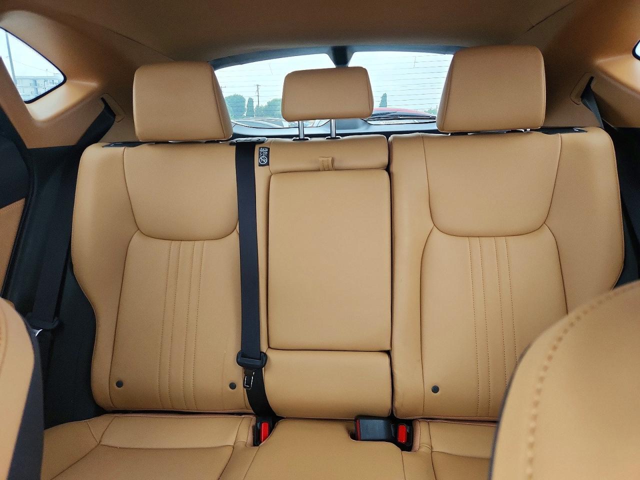 2024 LEXUS NX 350H — фото 10