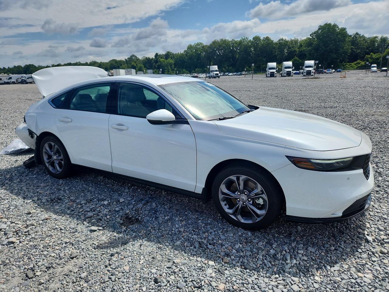 2024 HONDA ACCORD HYBRID — фото 4