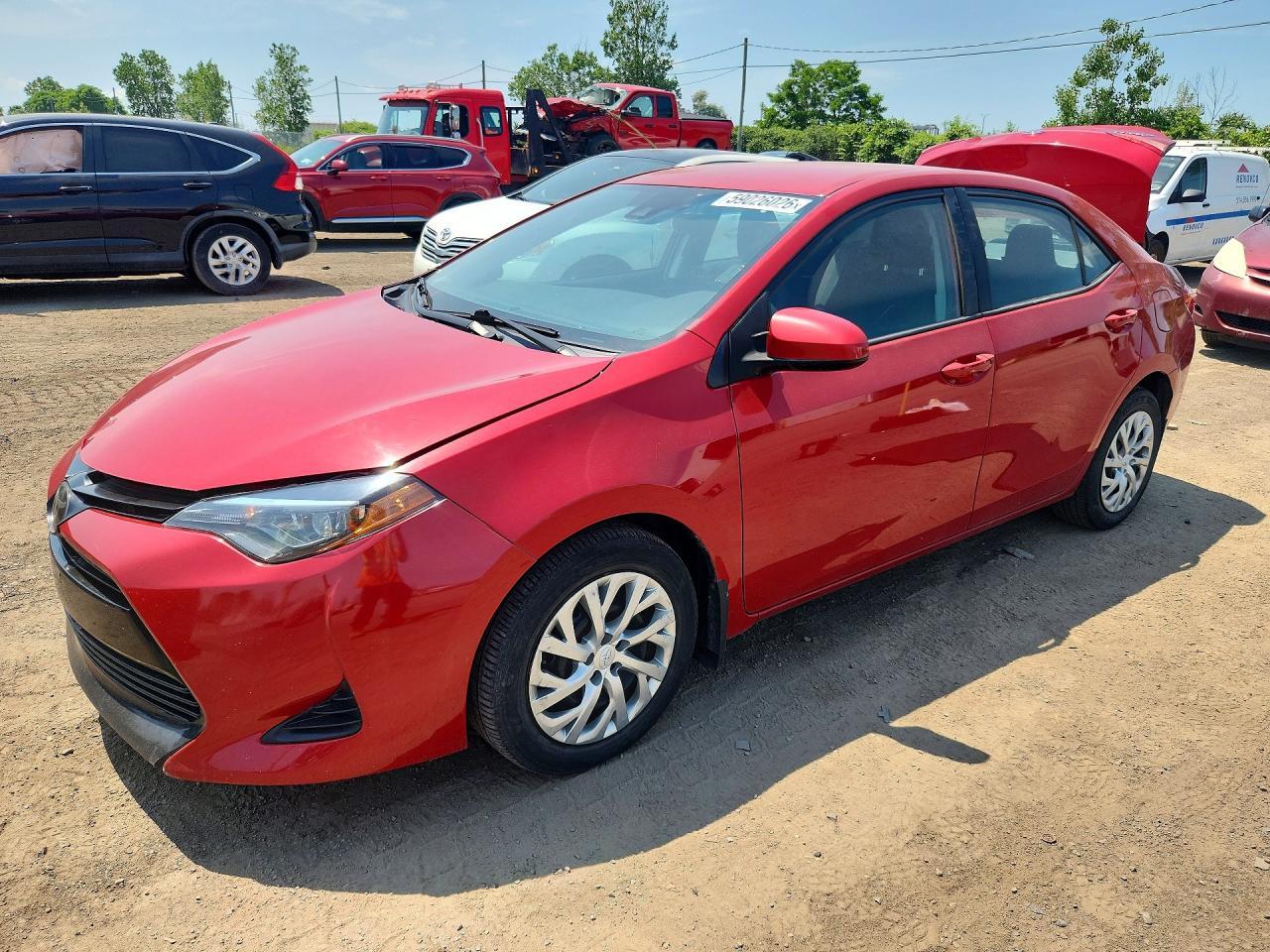 2019 TOYOTA COROLLA — фото 1