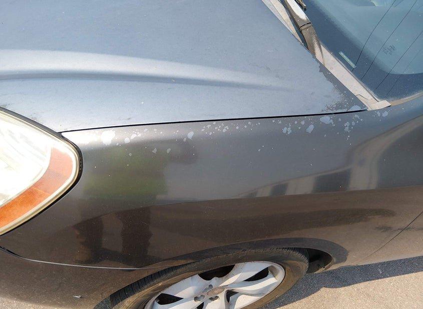 Kia Rondo