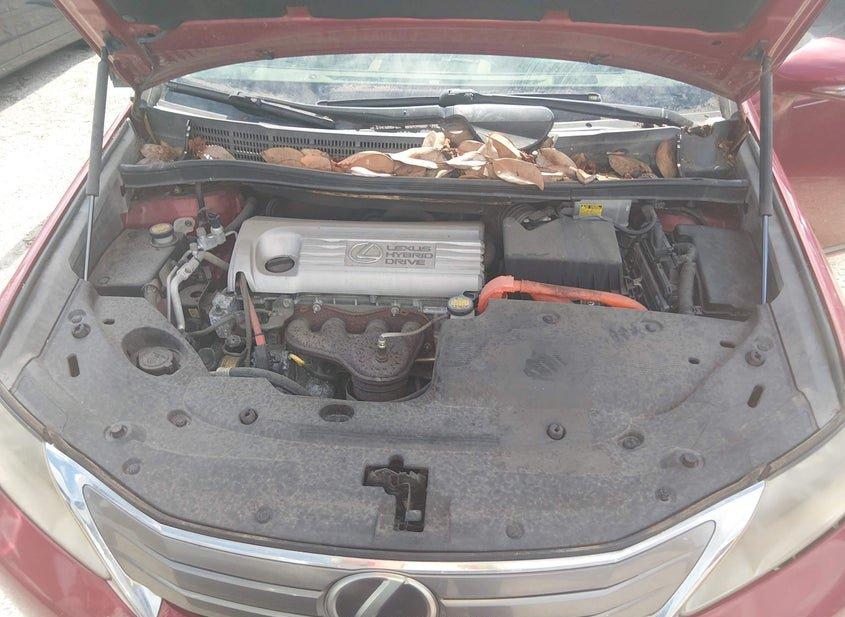 Lexus Hs 250H