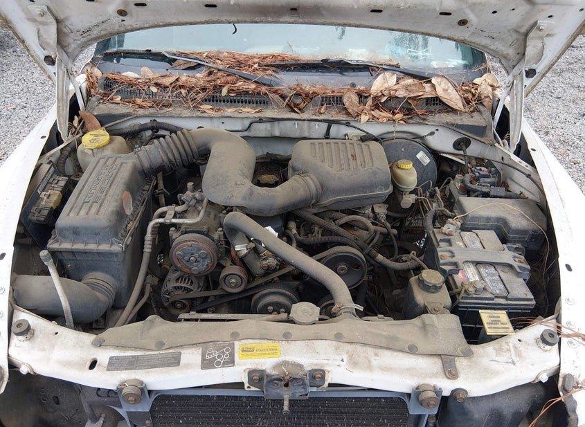 Dodge Dakota