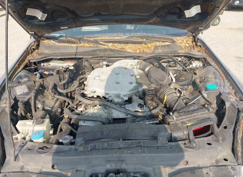 Infiniti G35