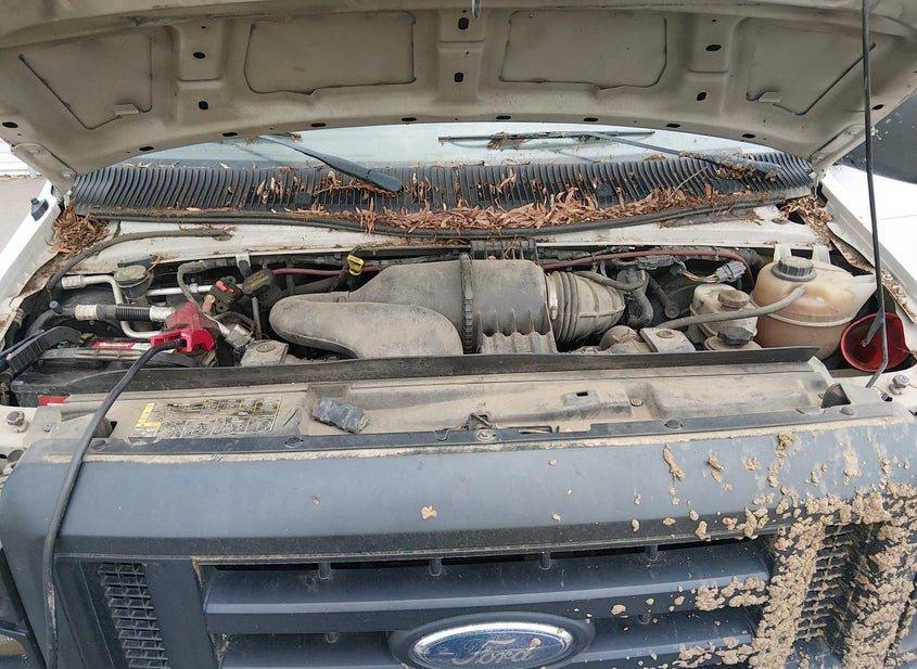 Ford E-250