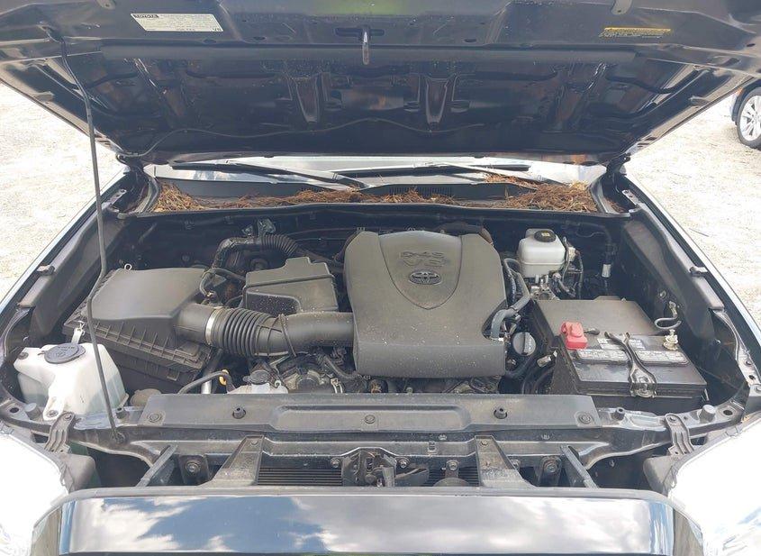 Toyota Tacoma