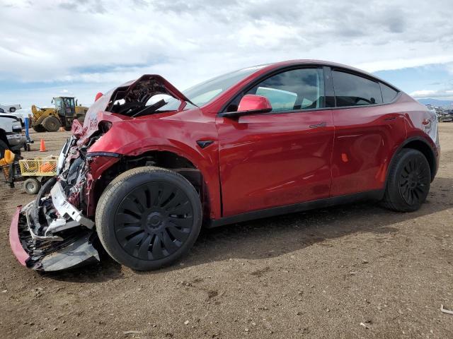 2024 Tesla Model Y — фото 1