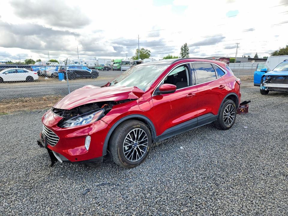 Ford Escape