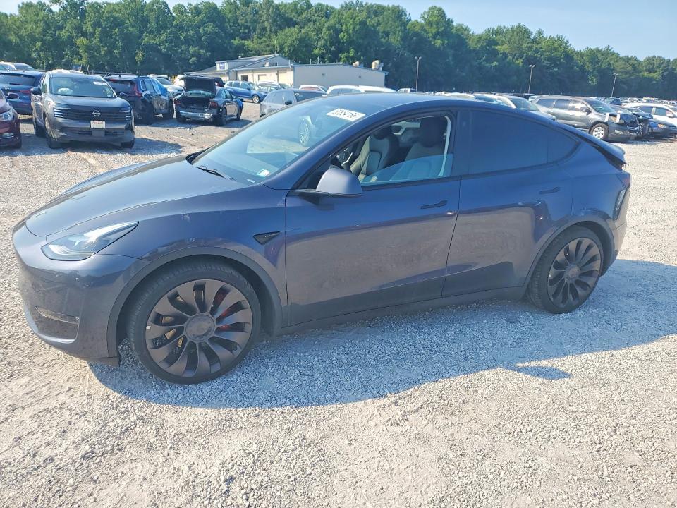 2023 Tesla Model Y — фото 1