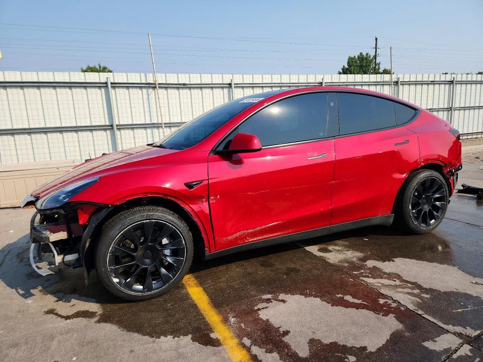 2023 Tesla Model Y — фото 1