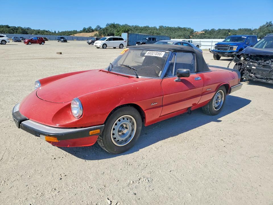 1987 Alfa Romeo Spider — фото 1
