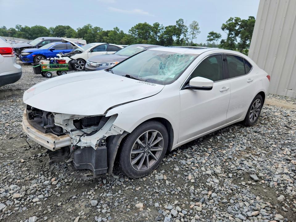 Acura Tlx