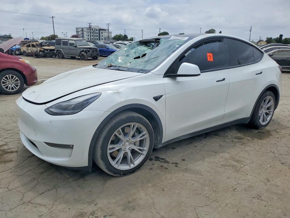 2024 Tesla Model Y — фото 1