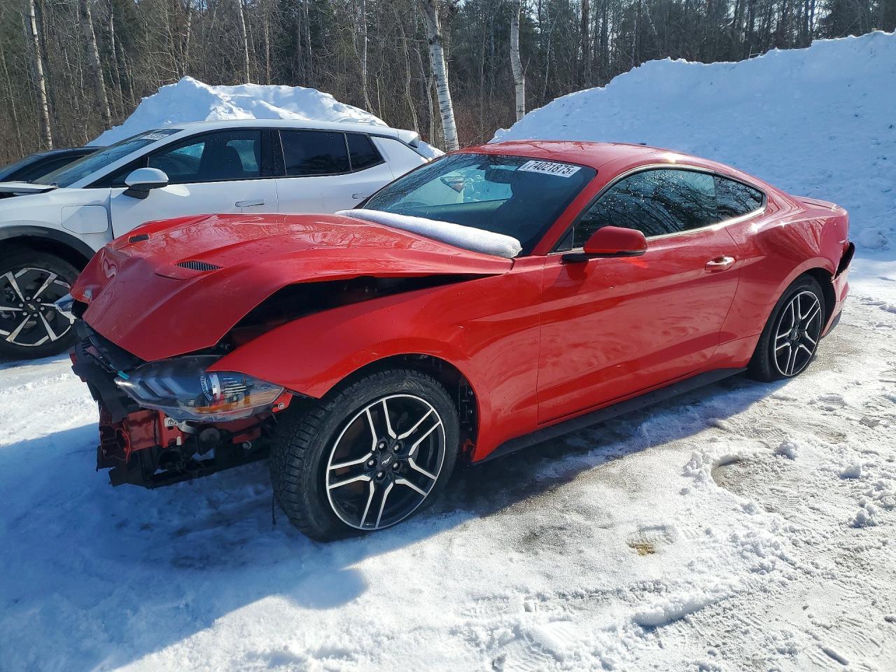 2019 FORD MUSTANG — фото 1